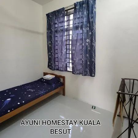 Ayuni Homestay Kuala Besut Terengganu Exterior photo